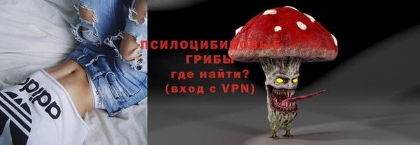 МДПВ Алексин