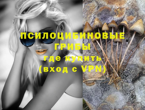 бутират Алзамай