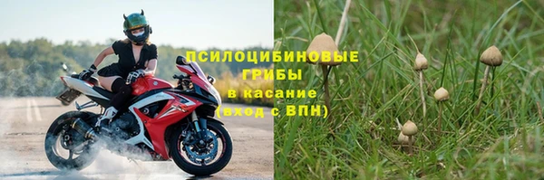 бутират Алзамай
