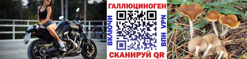 Галлюциногенные грибы ЛСД  Луза 